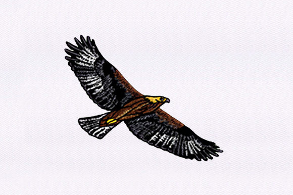 Brown Eagle: A Designer’s Review for Boutique Sweatshirts