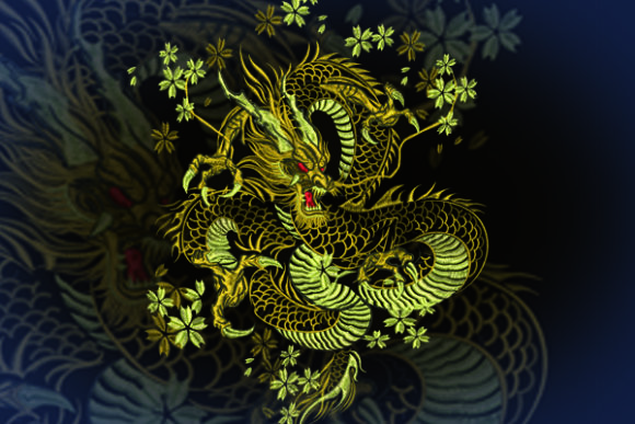 Gold Dragon Embroidery: A Designer’s Review