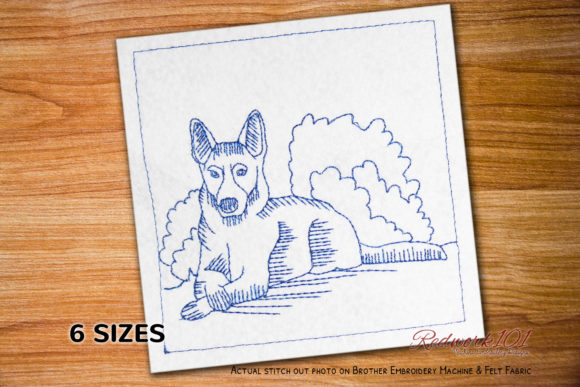Review: German Shepherd Dog Sitting and Smile